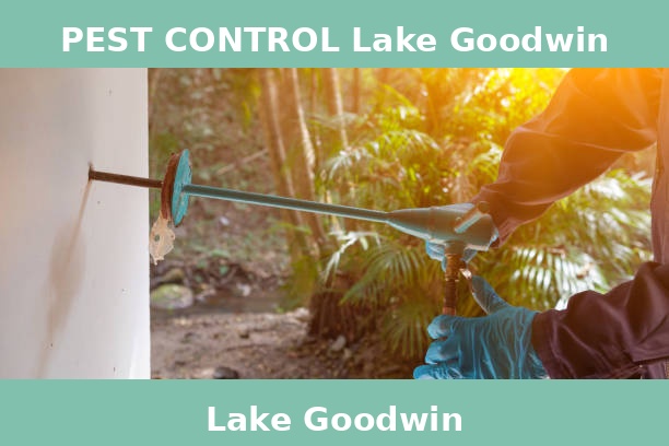 PEST CONTROL Lake Goodwin